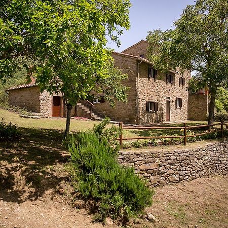 Borgo Al Teto La Vite Apartment Castiglion Fiorentino Exterior foto