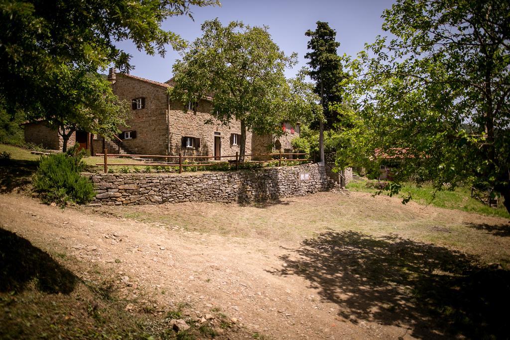 Borgo Al Teto La Vite Apartment Castiglion Fiorentino Exterior foto