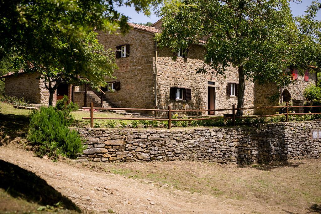 Borgo Al Teto La Vite Apartment Castiglion Fiorentino Exterior foto