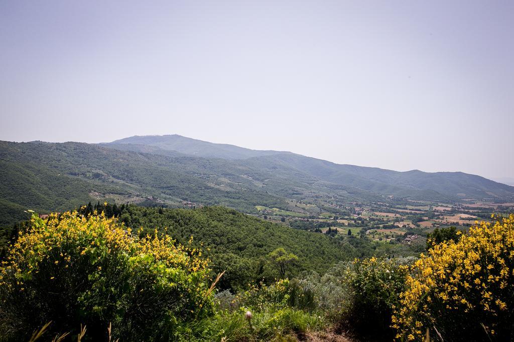 Borgo Al Teto La Vite Apartment Castiglion Fiorentino Exterior foto
