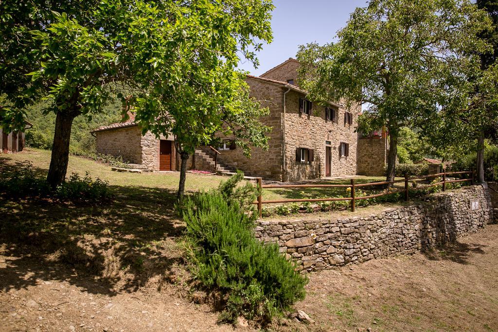 Borgo Al Teto La Vite Apartment Castiglion Fiorentino Exterior foto